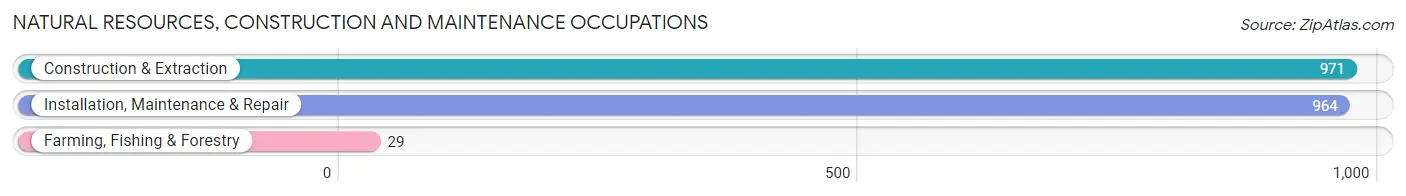 Natural Resources, Construction and Maintenance Occupations in Zip Code 95624