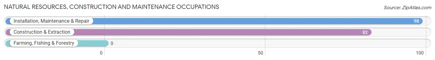 Natural Resources, Construction and Maintenance Occupations in Zip Code 95655