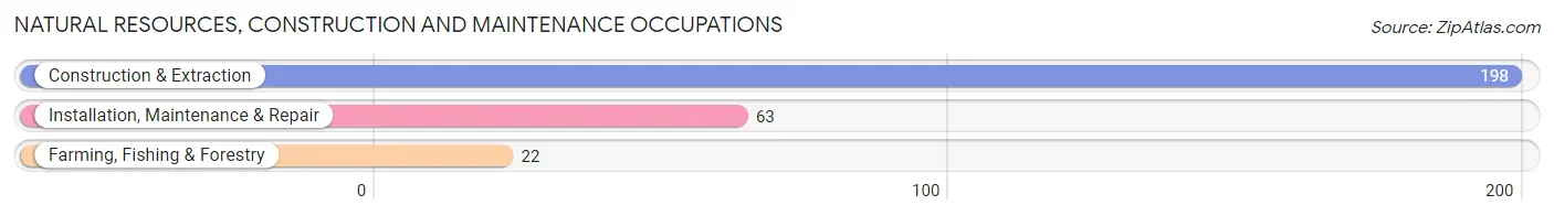 Natural Resources, Construction and Maintenance Occupations in Zip Code 95666