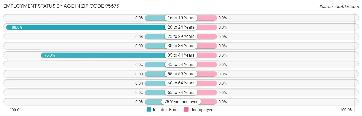 Employment Status by Age in Zip Code 95675