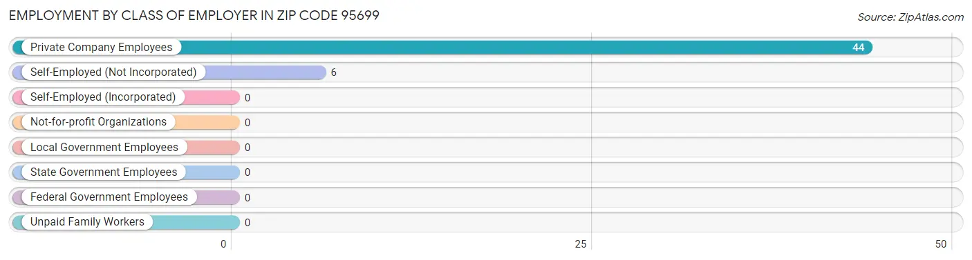 Employment by Class of Employer in Zip Code 95699