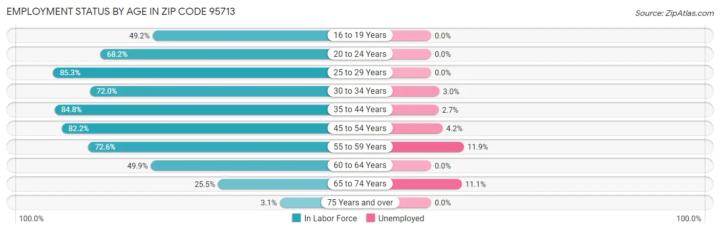 Employment Status by Age in Zip Code 95713