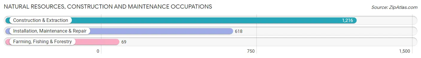 Natural Resources, Construction and Maintenance Occupations in Zip Code 95833