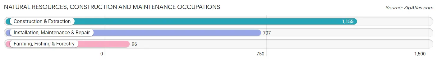 Natural Resources, Construction and Maintenance Occupations in Zip Code 95838