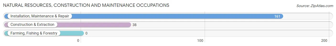 Natural Resources, Construction and Maintenance Occupations in Zip Code 95919