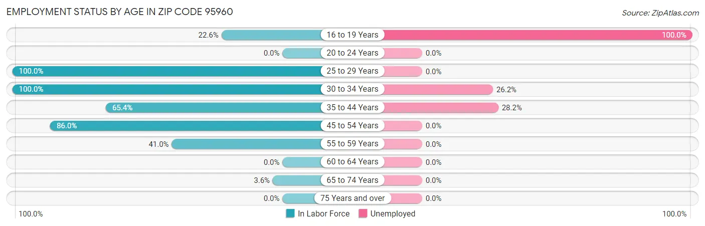 Employment Status by Age in Zip Code 95960