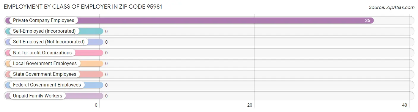 Employment by Class of Employer in Zip Code 95981