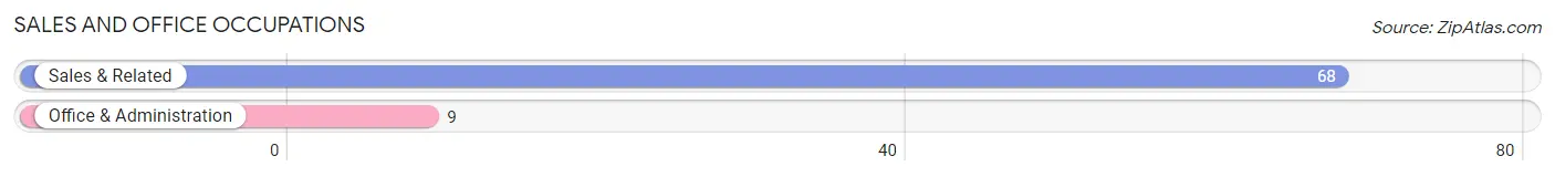 Sales and Office Occupations in Zip Code 96027
