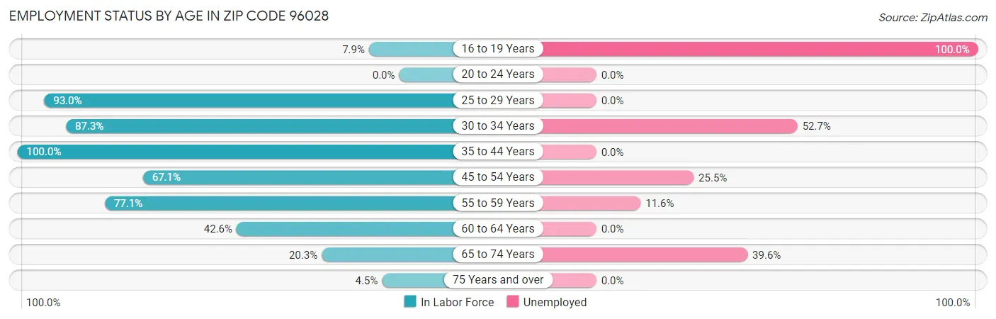 Employment Status by Age in Zip Code 96028