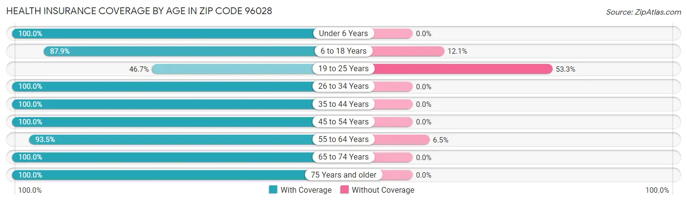 Health Insurance Coverage by Age in Zip Code 96028