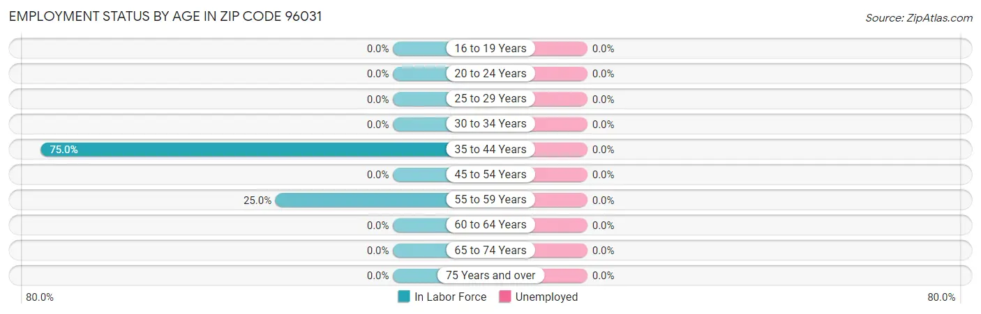 Employment Status by Age in Zip Code 96031