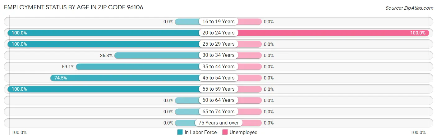 Employment Status by Age in Zip Code 96106
