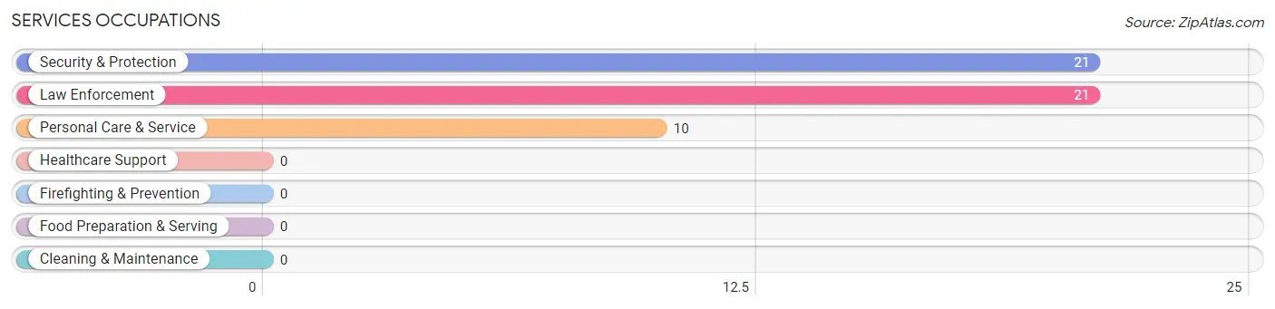 Services Occupations in Zip Code 96109