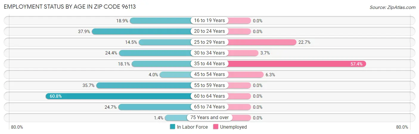 Employment Status by Age in Zip Code 96113