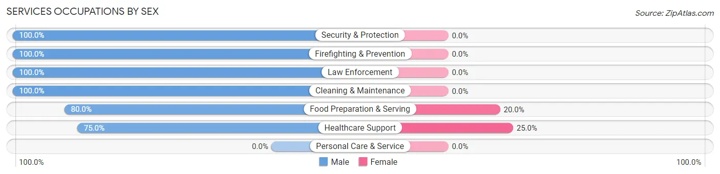 Services Occupations by Sex in Zip Code 96113
