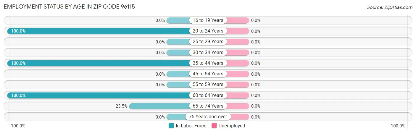 Employment Status by Age in Zip Code 96115