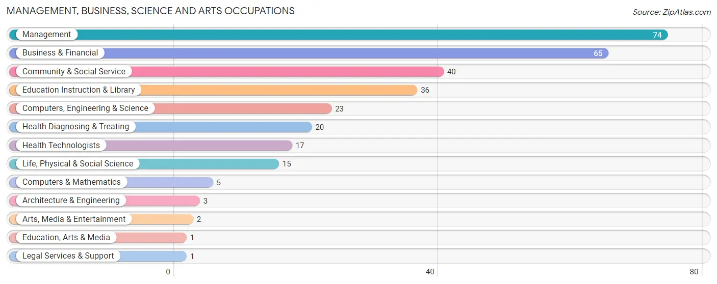 Management, Business, Science and Arts Occupations in Zip Code 96120