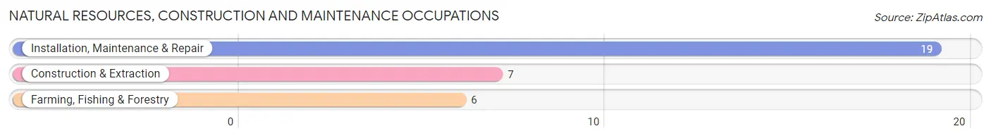 Natural Resources, Construction and Maintenance Occupations in Zip Code 96120