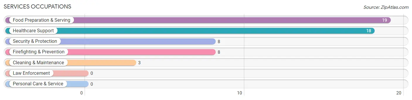 Services Occupations in Zip Code 96120