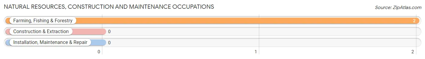 Natural Resources, Construction and Maintenance Occupations in Zip Code 96126