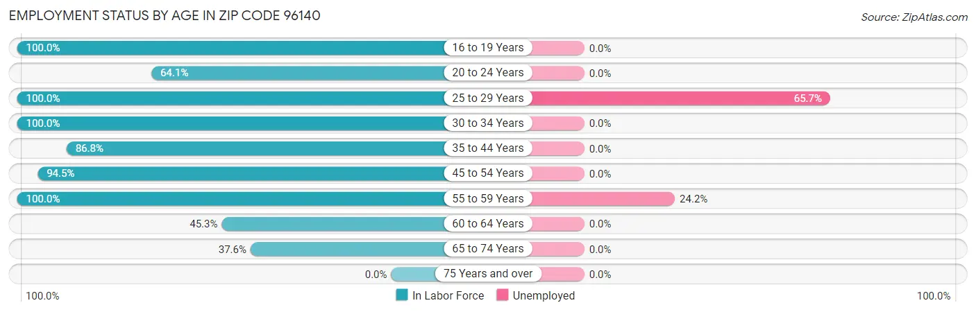 Employment Status by Age in Zip Code 96140
