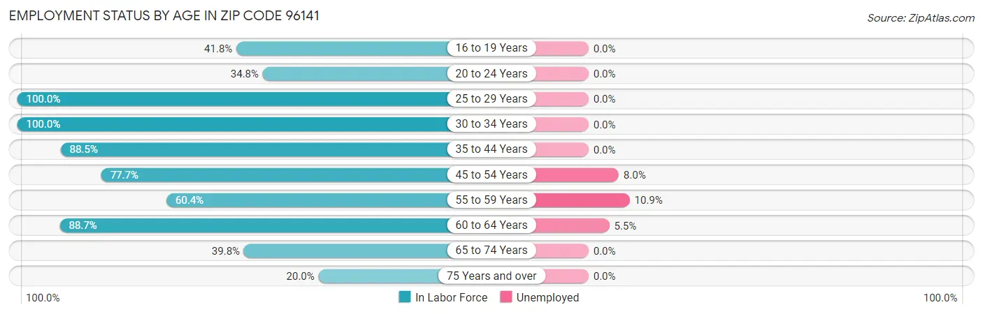 Employment Status by Age in Zip Code 96141