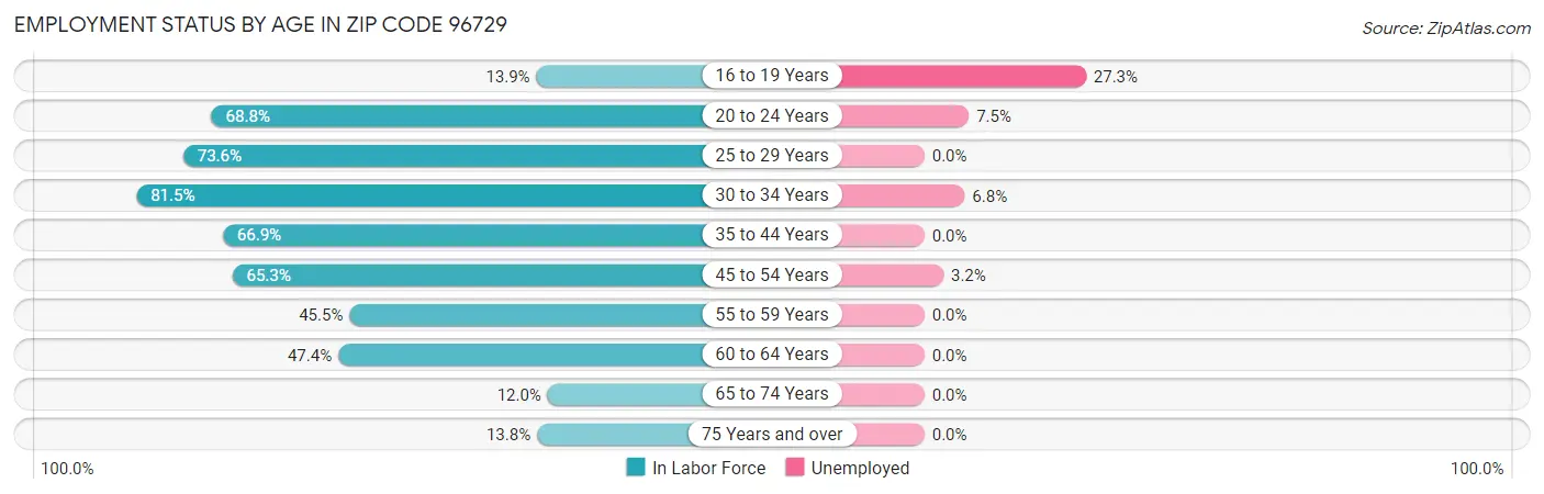 Employment Status by Age in Zip Code 96729