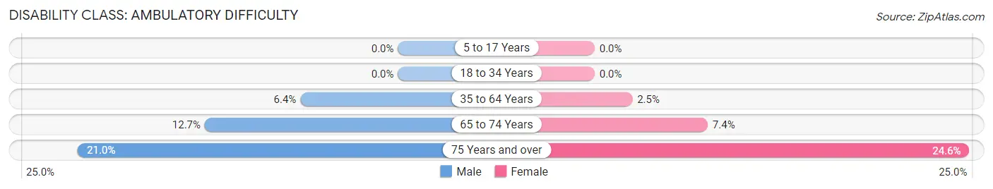 Disability in Zip Code 96741: <span>Ambulatory Difficulty</span>