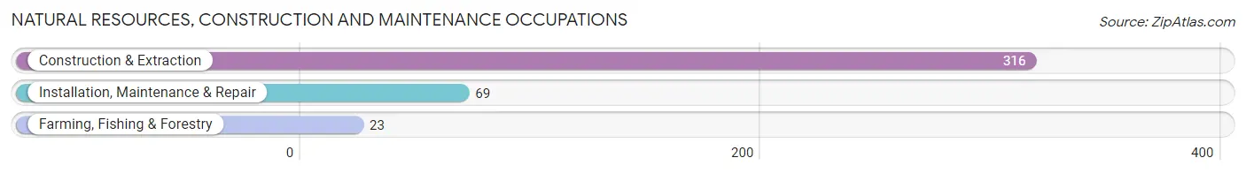 Natural Resources, Construction and Maintenance Occupations in Zip Code 96741