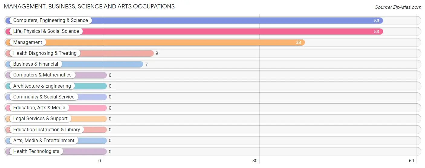 Management, Business, Science and Arts Occupations in Zip Code 96747