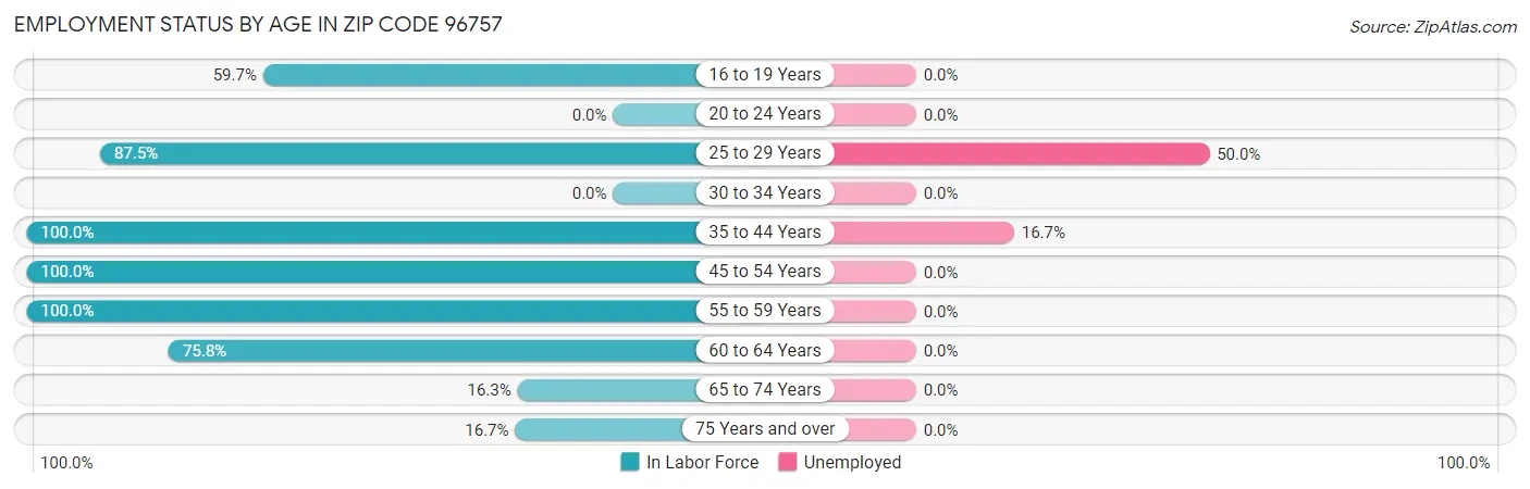 Employment Status by Age in Zip Code 96757