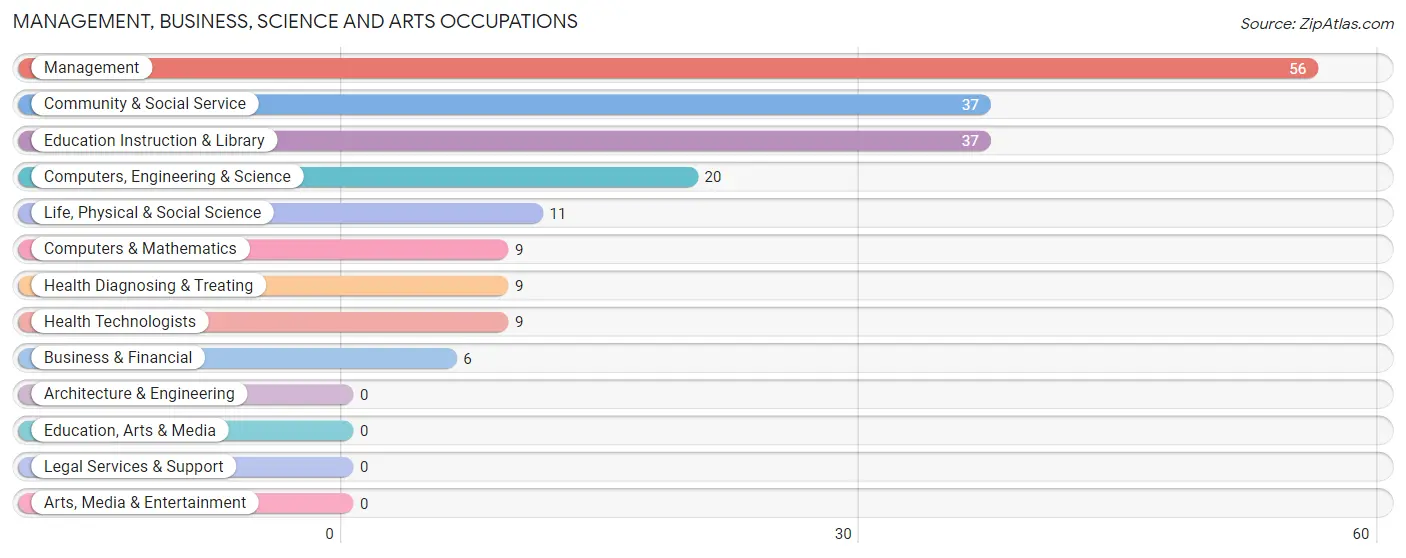 Management, Business, Science and Arts Occupations in Zip Code 96777