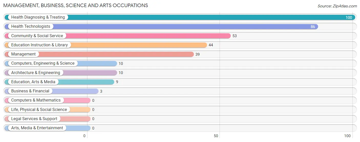 Management, Business, Science and Arts Occupations in Zip Code 96783