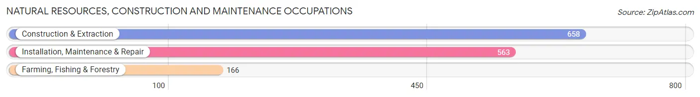 Natural Resources, Construction and Maintenance Occupations in Zip Code 96786