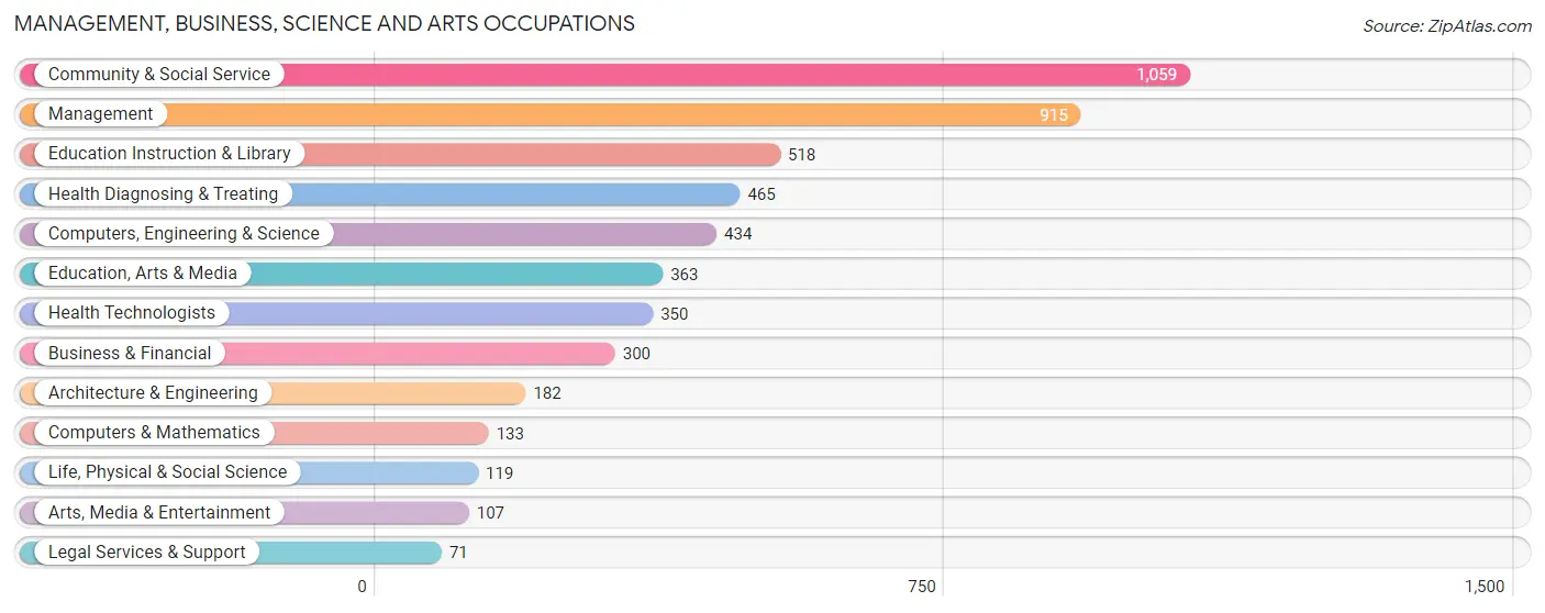 Management, Business, Science and Arts Occupations in Zip Code 97801