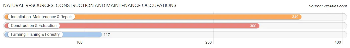 Natural Resources, Construction and Maintenance Occupations in Zip Code 97801