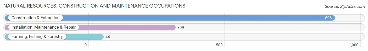 Natural Resources, Construction and Maintenance Occupations in Zip Code 98043