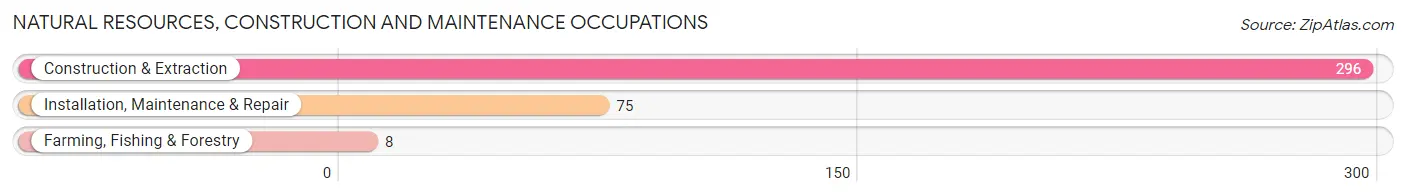 Natural Resources, Construction and Maintenance Occupations in Zip Code 98045