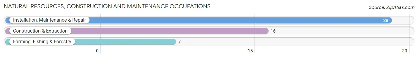 Natural Resources, Construction and Maintenance Occupations in Zip Code 98068