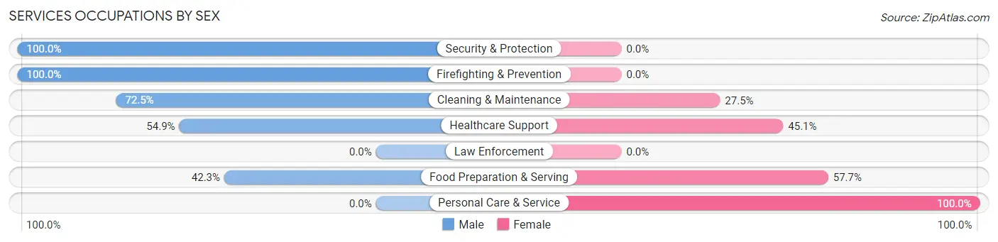 Services Occupations by Sex in Zip Code 98110
