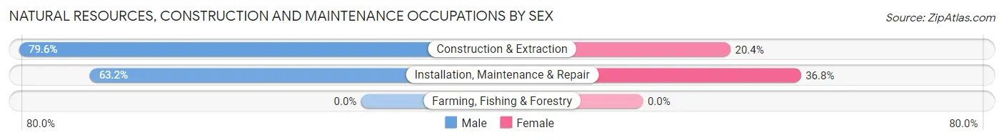 Natural Resources, Construction and Maintenance Occupations by Sex in Zip Code 98112