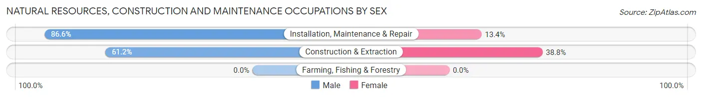 Natural Resources, Construction and Maintenance Occupations by Sex in Zip Code 98119