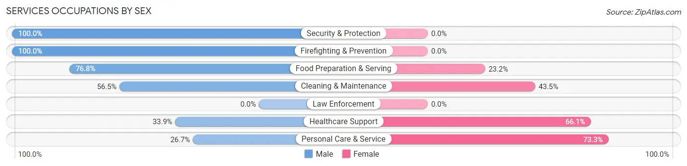 Services Occupations by Sex in Zip Code 98119