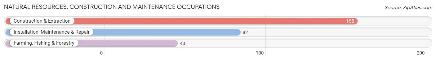 Natural Resources, Construction and Maintenance Occupations in Zip Code 98249