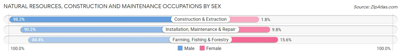 Natural Resources, Construction and Maintenance Occupations by Sex in Zip Code 98290