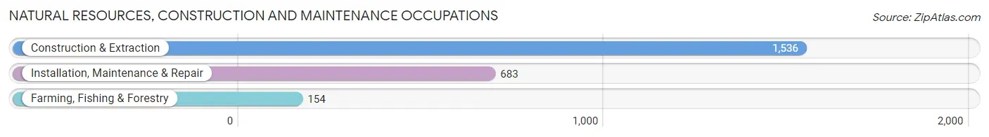 Natural Resources, Construction and Maintenance Occupations in Zip Code 98290