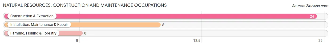 Natural Resources, Construction and Maintenance Occupations in Zip Code 98305