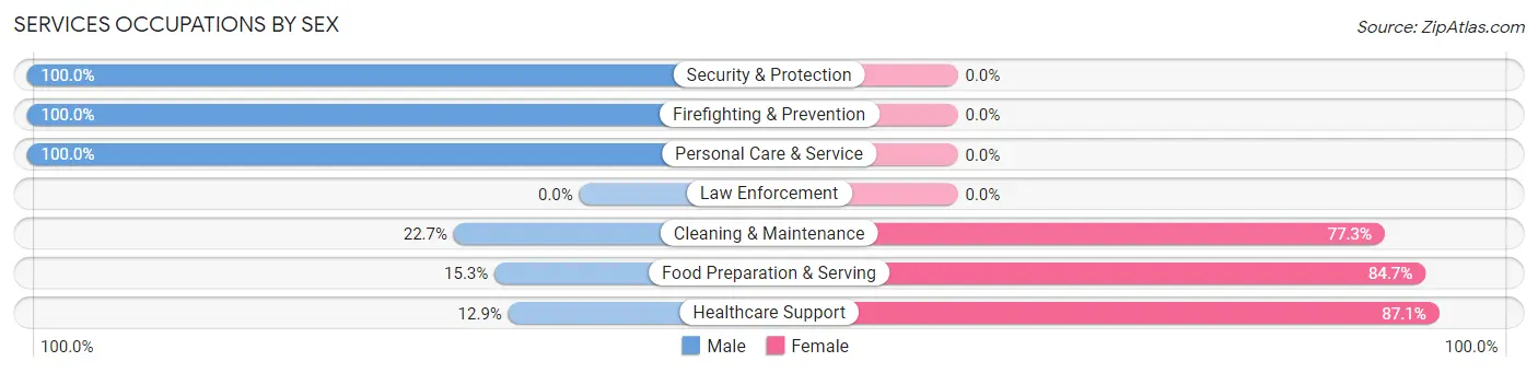 Services Occupations by Sex in Zip Code 98339