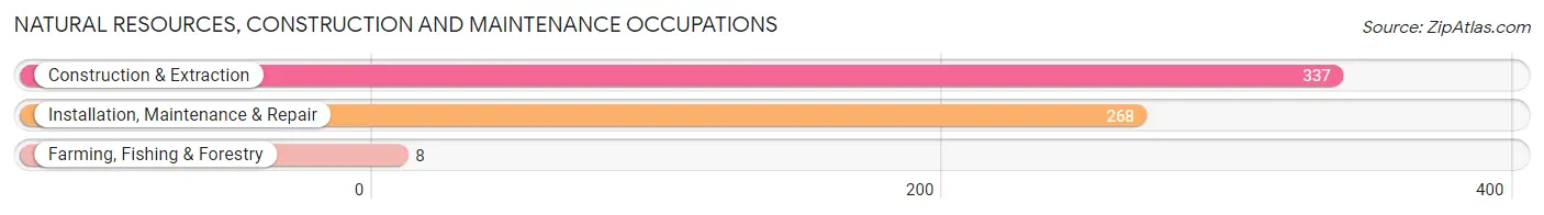 Natural Resources, Construction and Maintenance Occupations in Zip Code 98354