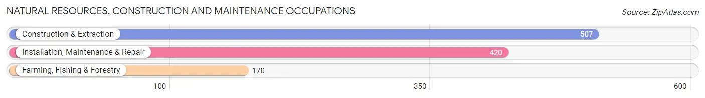 Natural Resources, Construction and Maintenance Occupations in Zip Code 98362